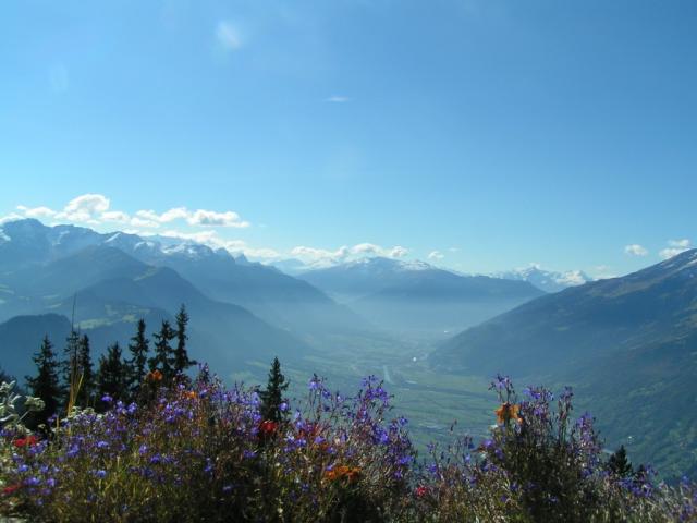 das Churer Rheintal mit Blick Richtung Chur