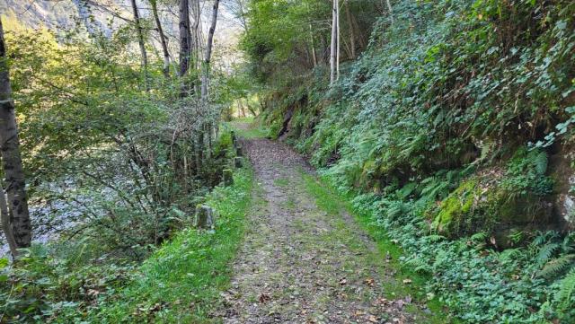 der schöne Waldweg führt uns...