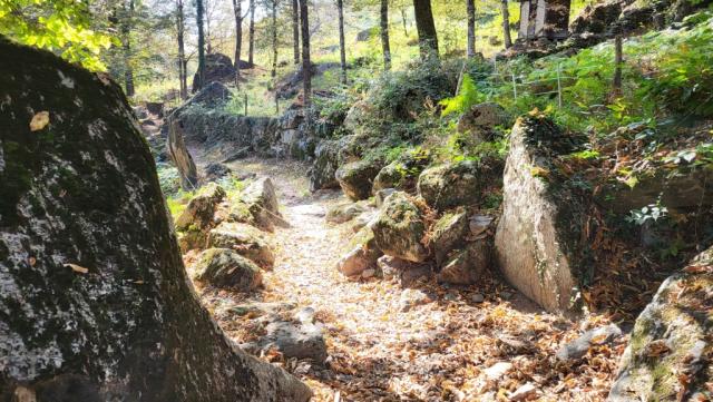 der sehr schöne Wanderweg...