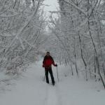 es geht Richtung Albis Passhöhe