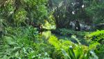 der Bagno di Venere. Mythos und Erotik im Schatten der üppigen Vegetation