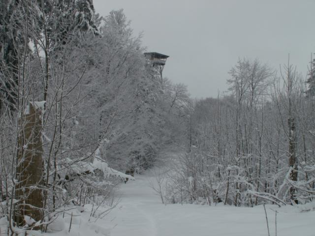 Aussichtsturm