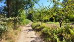 der Wanderweg führt uns immer wieder durch Obstplantagen