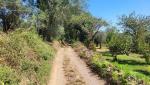 der Wanderweg führt uns in der Nähe des erloschenen Vulkan Roccamonfina