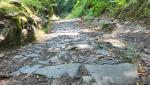 der Wanderweg Untergrund wechselt nun vom Basaltstein auf eine alte Römerstrasse
