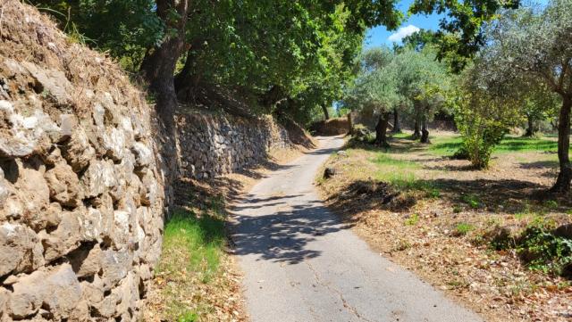 die Via Francigena schlängelt sich durch eine sehr schöne Gegend