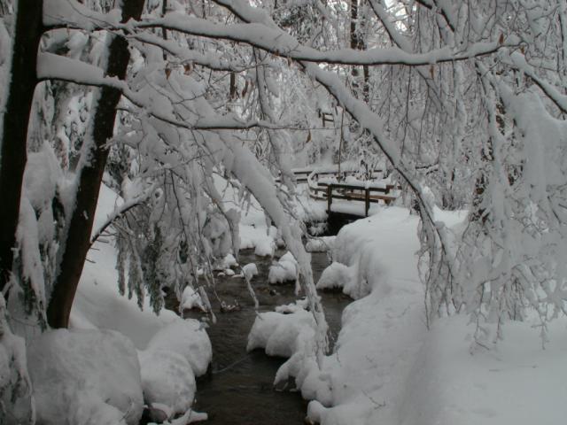 beim Tierpark Langenberg