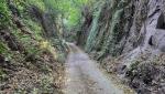 über eine aus dem Tuffstein gehauene Strasse laufen wir weiter