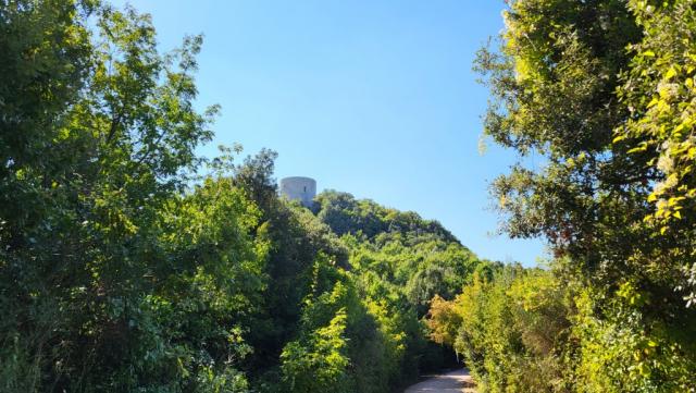 wir haben den Turm verlassen und blicken zurück. Wir hatten richtig Glück das wir den Turm besuchen konnten