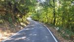 die verkehrsarme Strasse, führt uns durch den dichten Wald, in die Ebene hinunter