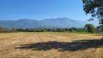 die Bergkette des Parco Regionale del Matese ist am Horizont gut ersichtlich. Heute geht am Fusse dieser Bergkette