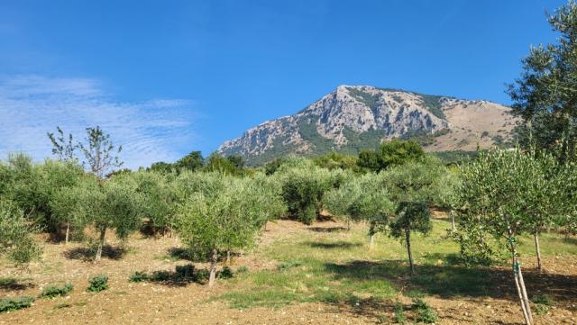 wir blicken zurück zu den Bergen des Parco Regionale del Taburno-Camposanto, das wir überschritten haben