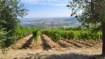 mit einer traumhaften Aussicht wandern wir in die Ebene von Benevento hinunter