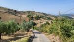 wir haben Montecapriano hinter uns gelassen und wandern weiter Richtung Buonalbergo