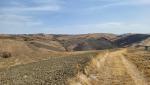 der Wanderweg führt uns in leichtem Auf und Ab...