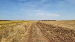 morgen werden wir den höchsten Punkt der ganzen Via Francigena nel Sud erreichen