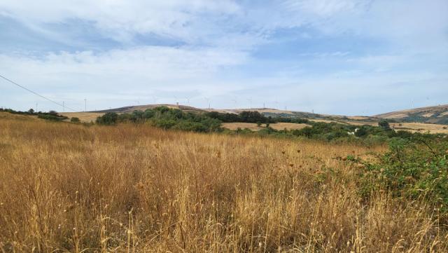 kurz nach dem verlassen von San Leonardo überqueren wir den höchsten Punkt der ganzen Via Francigena nel Sud