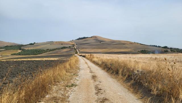 bald erreichen wir Troia. In diesem Dorf wird das älteste Dokument über die Via Francigena nel Sud aufbewahrt