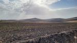 wir haben Castelluccio dei Sauri verlassen und laufen über die Ebene Richtung Ordona