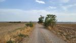 möchte man keine Pilgerkarawanen wir in Spanien haben, ist die Via Francigena genau das richtige