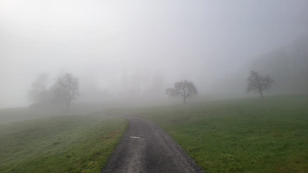 wir sind guten Mutes. Der Nebel wird verschwinden