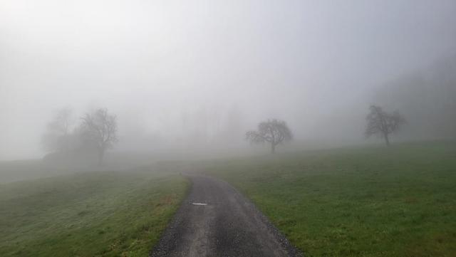 wir sind guten Mutes. Der Nebel wird verschwinden