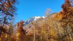 auf der Stauberenkanzel liegt schon Schnee. Dort oben waren wir als durch das Appenzellerland gewandert sind