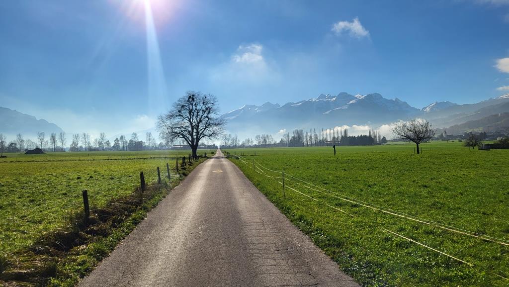 nach dem Saxerriet überqueren wir das Gamserriet