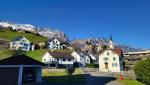 Gams. Dahinter die Kreuzberge. Wie in einem Bilderbuch vom Südtirol