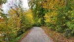 auf der Höhe von Leimbach, verlassen wir den Fussweg an der Sihl entlang...