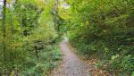 auf einem Waldweg überqueren wir den Entlisberg