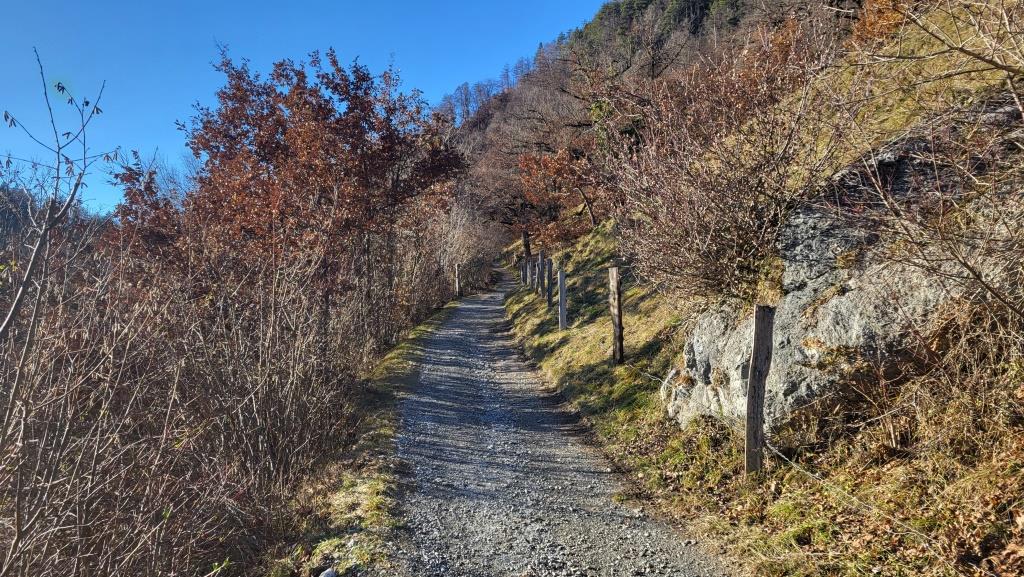 wir wandern nun gleichzeitig auf der Via Francisca, den Jakobsweg und auf der Senda Sursilvana