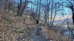 auf fast gleichbleibender Höhe, führt uns nun ein Höhenweg alles am Hang entlang, Richtung Monte Ceneri