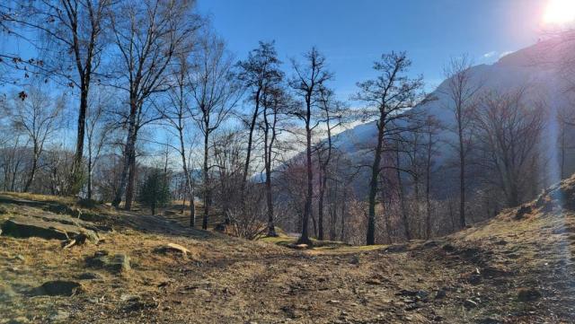 wir erreichen den Monte Ceneri...