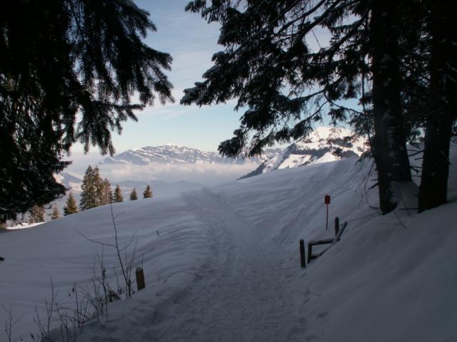 nun geht's durch den Wald. Im Hintergrund der Schwalmis