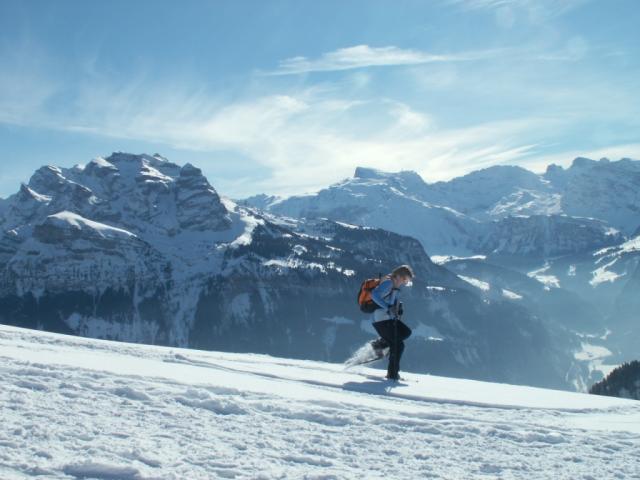 Mäusi im forschem Tempo. Im Hintergund Rigidalstock - Titlis