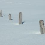 Winterfoto