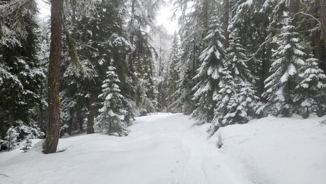 20240302_101413.jpg