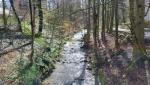 der Wildbach der nun Wehrenbach heisst, wird uns bis Realp begleiten