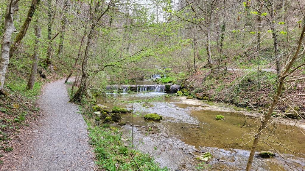 am Dorfbach entlang, wandern wir durch den Küsnachter Tobel aufwärts...