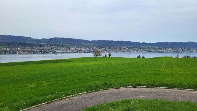 bei Pfluegstein geniessen wir auf einer Bank die sehr schöne Aussicht auf den Zürichsee