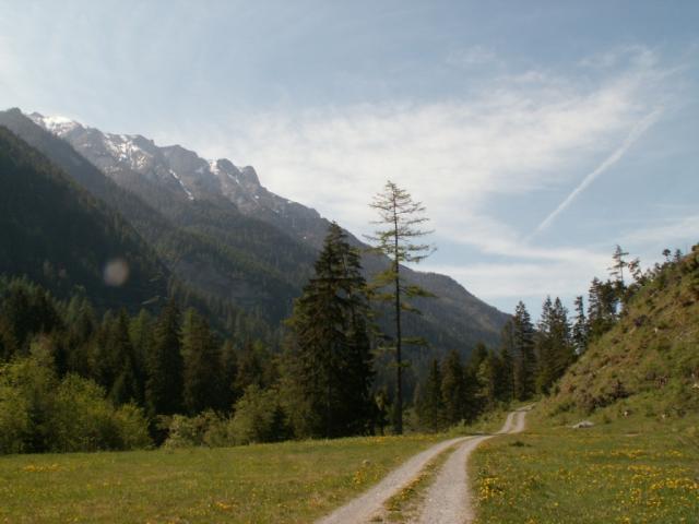 Wanderweg Richtung Kunkelpass