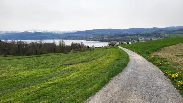 schade das wegen dem Saharastaub die Glarner- und Urner Alpen nicht gut ersichtlich sind