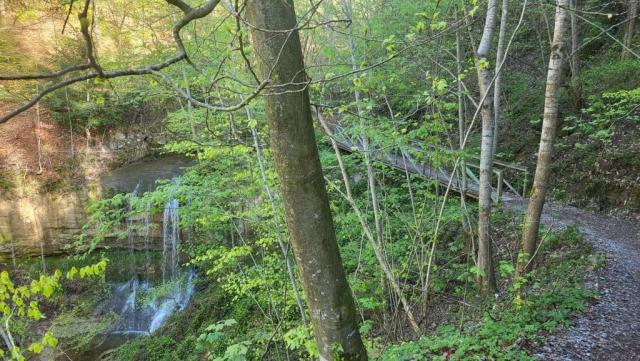 der Weg schlängelt sich durchs idyllische Tobel...