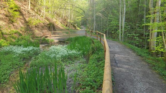 beim kleinen Weiher kurz unterhalb des Burg Friedberg