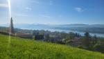 ...geniessen wir einen prächtigen Ausblick auf den Zürichsee