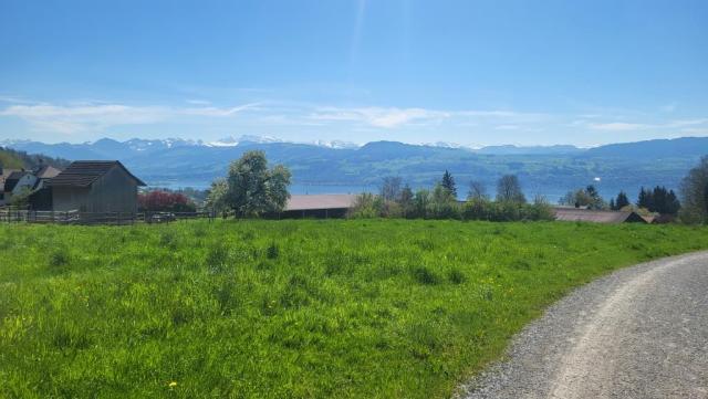 die Aussicht auf die Glarner- und Urnerberge bleibt wunderschön. Viele der ersichtlichen Berge haben wir bestiegen