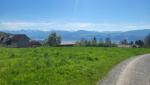 die Aussicht auf die Glarner- und Urnerberge bleibt wunderschön. Viele der ersichtlichen Berge haben wir bestiegen