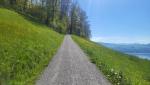 der Wanderweg steigt nun leicht aufwärts Richtung Risi