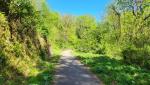 der Wanderweg schlängelt sich durch den Wald vom Monte Marzio